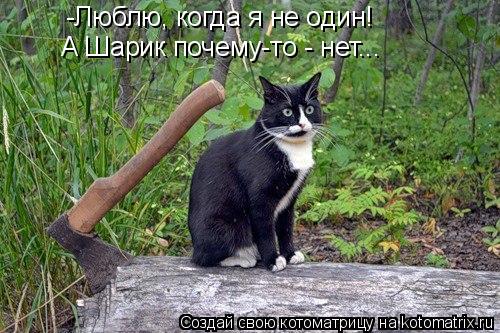 -Люблю, когда я не один! А Шарик почему-то - нет...... Котоматрица: -Люблю, когда я не один! А Шарик почему-то - нет...
