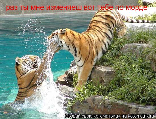 раз ты мне изменяеш вот тебе по морде... Котоматрица: раз ты мне изменяеш вот тебе по морде