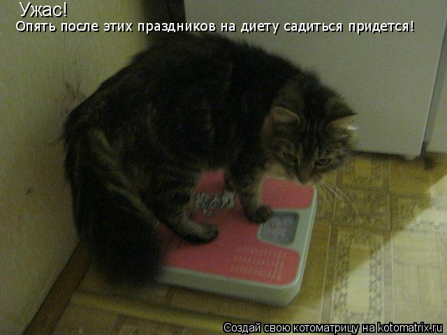 Ужас! Опять после этих праздников на диету садиться придется!... Котоматрица: Ужас! Опять после этих праздников на диету садиться придется!
