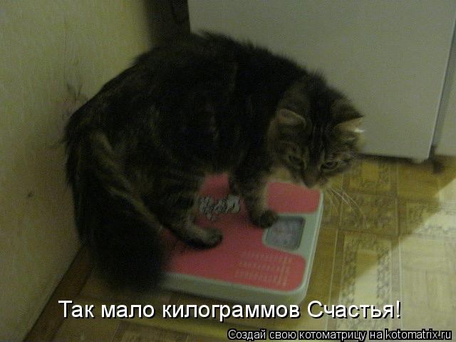 Так мало килограммов Счастья!... Котоматрица: Так мало килограммов Счастья!