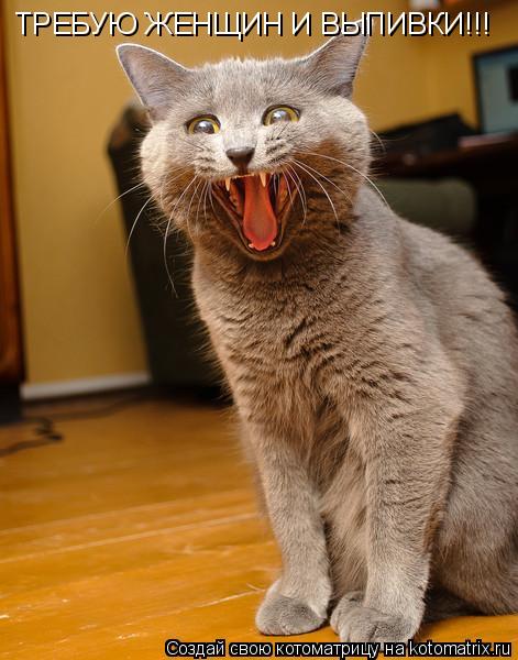 ТРЕБУЮ ЖЕНЩИН И ВЫПИВКИ!!!... Котоматрица: ТРЕБУЮ ЖЕНЩИН И ВЫПИВКИ!!!