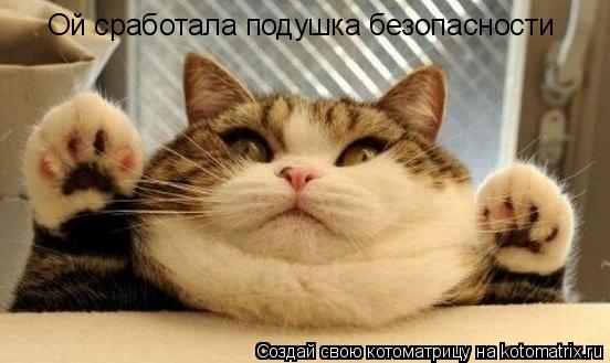 Ой сработала подушка безопасности... Котоматрица: Ой сработала подушка безопасности
