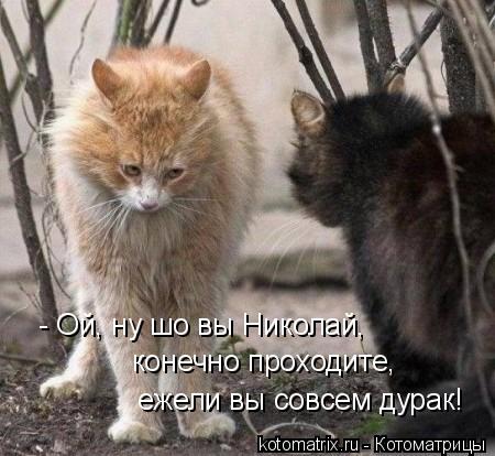 - Ой, ну шо вы Николай, конечно проходите, ежели вы совсем дурак!... Котоматрица: - Ой, ну шо вы Николай, конечно проходите, ежели вы совсем дурак!