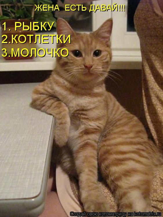 ЖЕНА ЕСТЬ ДАВАЙ!!! 1. РЫБКУ 2.КОТЛЕТКИ 3.МОЛОЧКО... Котоматрица: ЖЕНА ЕСТЬ ДАВАЙ!!! 1. РЫБКУ 2.КОТЛЕТКИ 3.МОЛОЧКО