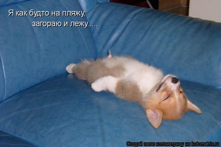 Я как будто на пляжу, загораю и лежу........ Котоматрица: Я как будто на пляжу, загораю и лежу.....