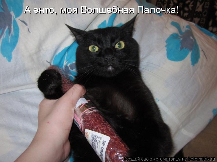 А енто, моя Волшебная Палочка!... Котоматрица: А енто, моя Волшебная Палочка!