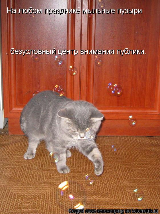 На любом празднике мыльные пузыри — безусловный центр внимания публики.... Котоматрица: На любом празднике мыльные пузыри — безусловный центр внимания публики.