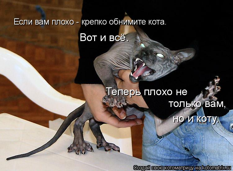 Если вам плохо - крепко обнимите кота. Вот и всё. Теперь плохо не только вам, но и коту.... Котоматрица: Если вам плохо - крепко обнимите кота. Вот и всё. Теперь плохо не только вам, но и коту.