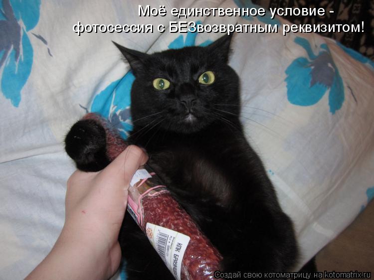 Моё единственное условие - фотосессия с БЕЗвозвратным реквизитом!... Котоматрица: Моё единственное условие - фотосессия с БЕЗвозвратным реквизитом!