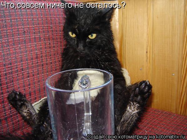 Что,совсем ничего не осталось?... Котоматрица: Что,совсем ничего не осталось?