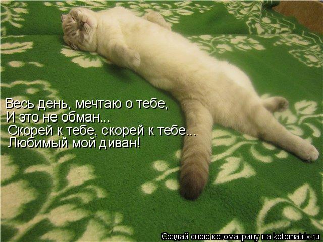 Весь день, мечтаю о тебе, И это не обман.. Скорей к тебе, скорей к тебе... Любимый мой диван!... Котоматрица: Весь день, мечтаю о тебе, И это не обман.. Скорей к тебе, скорей к тебе... Любимый мой диван!