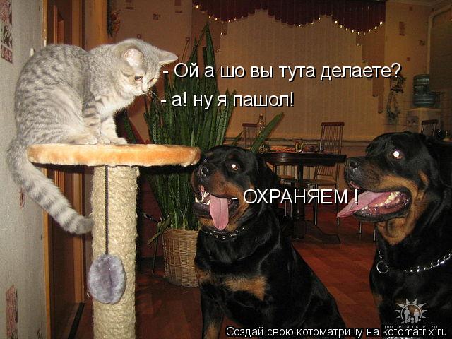 - Ой а шо вы тута делаете? - ОХРАНЯЕМ ! - а! ну я пашол!... Котоматрица: - Ой а шо вы тута делаете? - ОХРАНЯЕМ ! - а! ну я пашол!