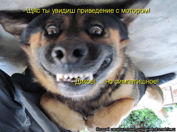 - Щяс ты увидиш приведение с мотором! - Дикое! ... но симпатишное!... Котоматрица: - Щяс ты увидиш приведение с мотором! - Дикое! ... но симпатишное!
