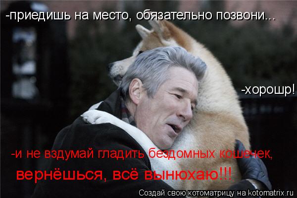 -приедишь на место, обязательно позвони... -хорошр!!! -и не вздумай гладить бездомных кошечек, вернё... Котоматрица: -приедишь на место, обязательно позвони... -хорошр!!! -и не вздумай гладить бездомных кошечек, вернёшься, всё вынюхаю!!!