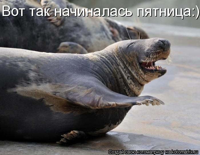 Вот так начиналась пятница:)... Котоматрица: Вот так начиналась пятница:)