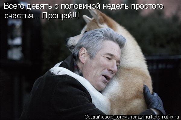 Всего девять с половиной недель простого счастья... Прощай!!!... Котоматрица: Всего девять с половиной недель простого счастья... Прощай!!!