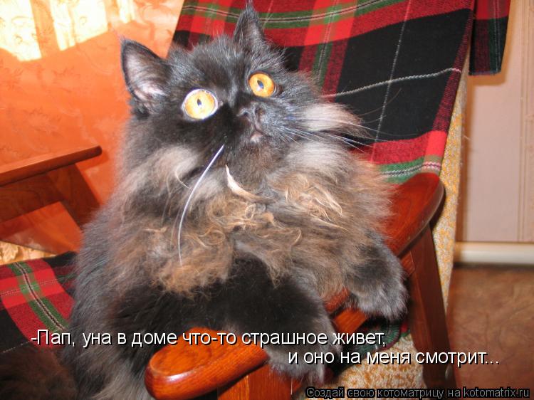-Пап, уна в доме что-то страшное живет, и оно на меня смотрит...... Котоматрица: -Пап, уна в доме что-то страшное живет, и оно на меня смотрит...
