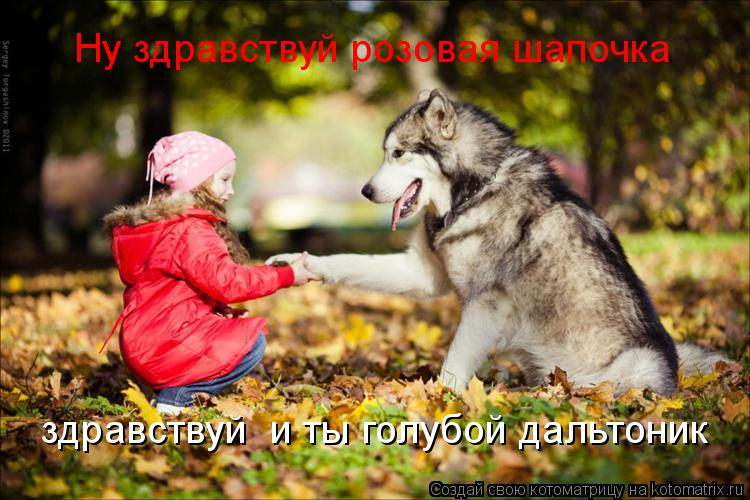 Ну здравствуй розовая шапочка здравствуй и ты голубой дальтоник... Котоматрица: Ну здравствуй розовая шапочка здравствуй и ты голубой дальтоник
