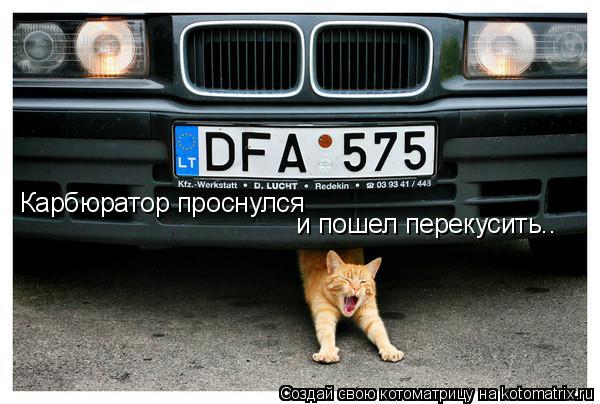 Карбюратор проснулся и пошел перекусить..... Котоматрица: Карбюратор проснулся и пошел перекусить..
