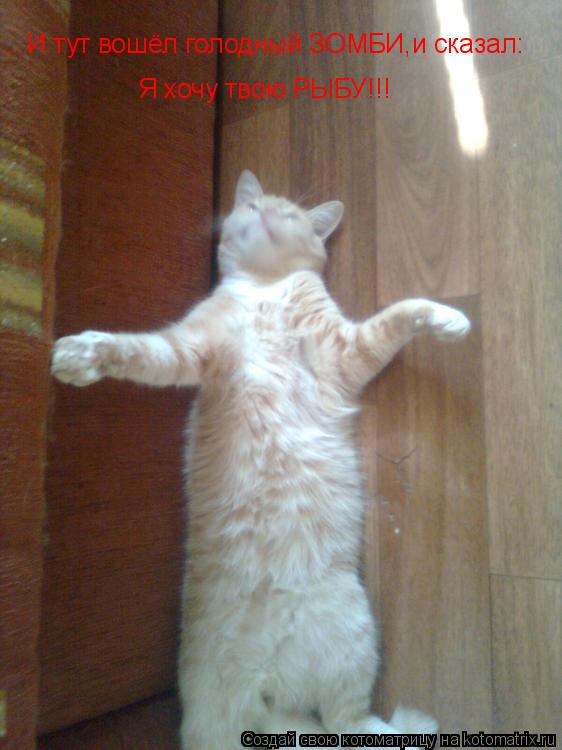 Котоматрица: ...И тут вошёл голодный ЗОМБИ,и сказал: Я хочу твою РЫБУ!!!