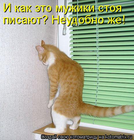 Котоматрица: И как это мужики стоя писают? Неудобно же!