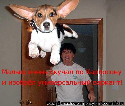 Котоматрица: Малыш очень скучал по Карлосону и изобрёл универсальный вариант!