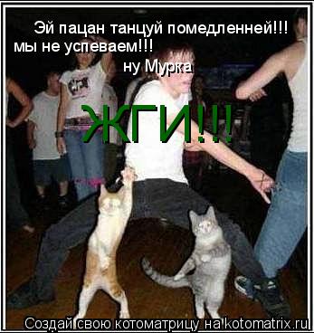 Котоматрица: Эй пацан танцуй помедленней!!! мы не успеваем!!! ну Мурка  ЖГИ!!!
