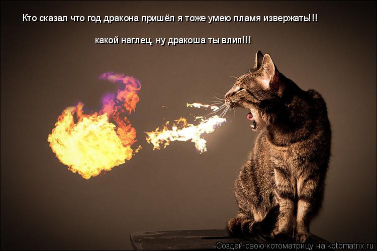 Кто сказал что год дракона пришёл я тоже умею пламя извержать!!! какой наглец, ну дракоша ты влип!!!... Котоматрица: Кто сказал что год дракона пришёл я тоже умею пламя извержать!!! какой наглец, ну дракоша ты влип!!!