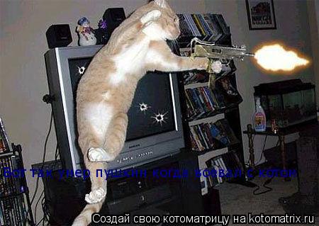 Вот так умер пушкин когда воевал с котом... Котоматрица: Вот так умер пушкин когда воевал с котом