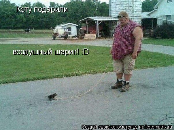 Котоматрица: Коту подарили воздушный шарик! :D