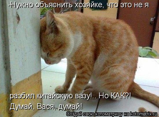 -Нужно объяснить хозяйке, что это не я разбил китайскую вазу!.. Но КАК?! Думай, Вася, думай!... Котоматрица: -Нужно объяснить хозяйке, что это не я разбил китайскую вазу!.. Но КАК?! Думай, Вася, думай!