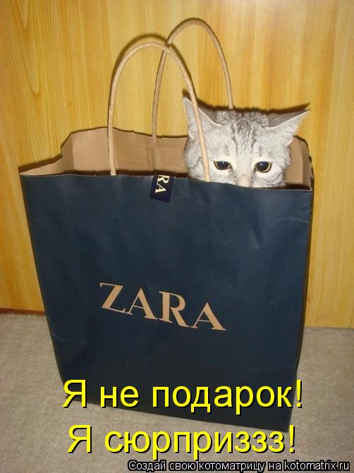 Я не подарок! Я сюрприззз!... Котоматрица: Я не подарок! Я сюрприззз!