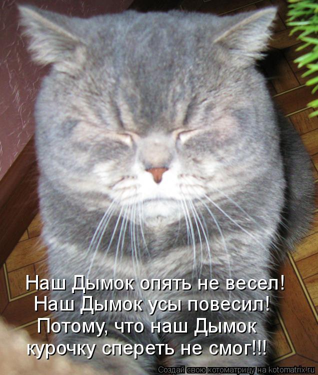 Наш Дымок опять не весел! Наш Дымок усы повесил! Потому, что наш Дымок курочку спереть не смог!!!... Котоматрица: Наш Дымок опять не весел! Наш Дымок усы повесил! Потому, что наш Дымок курочку спереть не смог!!!