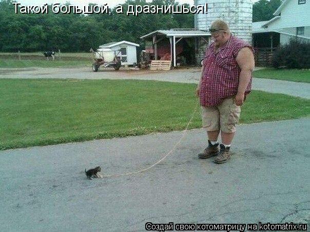 Такой большой, а дразнишься!... Котоматрица: Такой большой, а дразнишься!