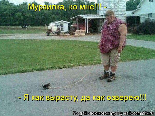 - Я как вырасту, да как озверею!!! Мурзилка, ко мне!!! -... Котоматрица: - Я как вырасту, да как озверею!!! Мурзилка, ко мне!!! -