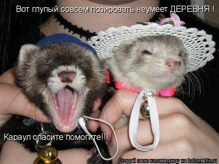 Караул спасите помогите!!! Вот глупый совсем позировать неумеет ДЕРЕВНЯ !... Котоматрица: Караул спасите помогите!!! Вот глупый совсем позировать неумеет ДЕРЕВНЯ !