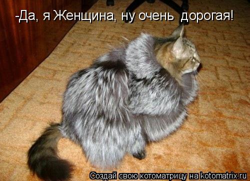 -Да, я Женщина, ну очень дорогая!... Котоматрица: -Да, я Женщина, ну очень дорогая!