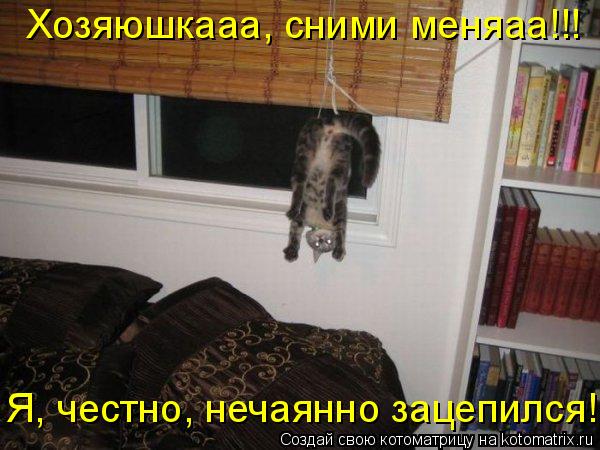 Котоматрица: Хозяюшкааа, сними меняаа!!! Я, честно, нечаянно зацепился!