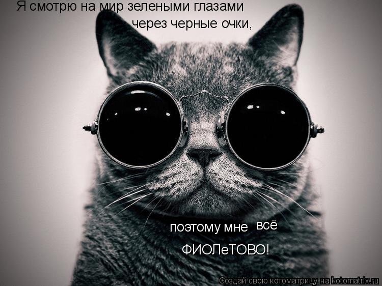 Котоматрица: Я смотрю на мир зелеными глазами через черные очки, поэтому мне всё ФИОЛеТОВО!