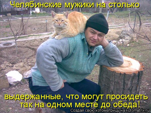 Котоматрица: выдержанные, что могут просидеть  так на одном месте до обеда! Челябинские мужики на столько