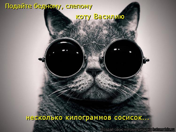 Котоматрица: Подайте бедному, слепому коту Василию несколько килограммов сосисок...