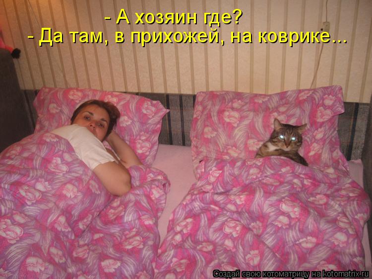 Котоматрица: - А хозяин где? - Да там, в прихожей, на коврике...