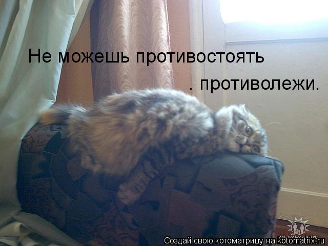 Не можешь противостоять – противолежи.... Котоматрица: Не можешь противостоять – противолежи.