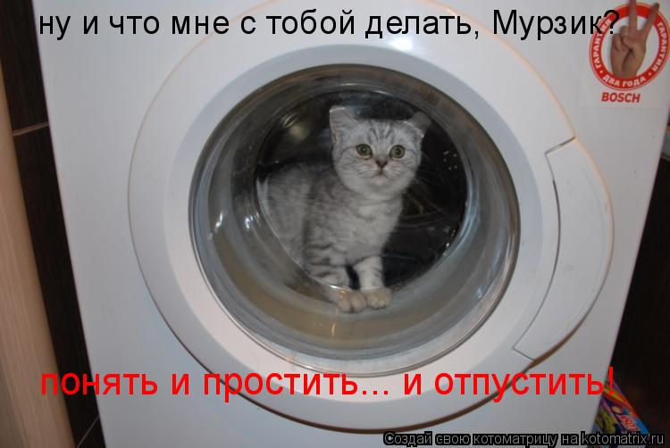 Котоматрица: понять и простить... и отпустить! ну и что мне с тобой делать, Мурзик?