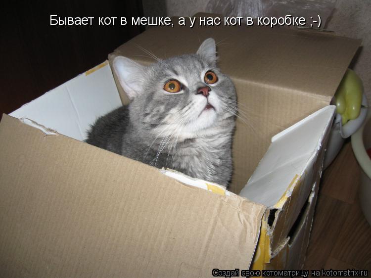 Котоматрица: Бывает кот в мешке, а у нас кот в коробке ;-)