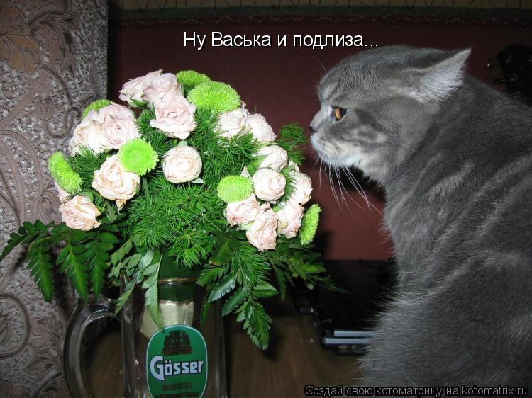 Котоматрица: Ну Васька и подлиза...