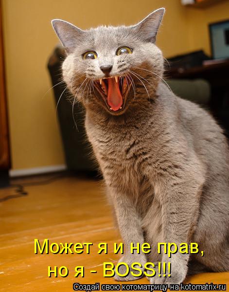 Котоматрица: Может я и не прав, но я - BOSS!!!