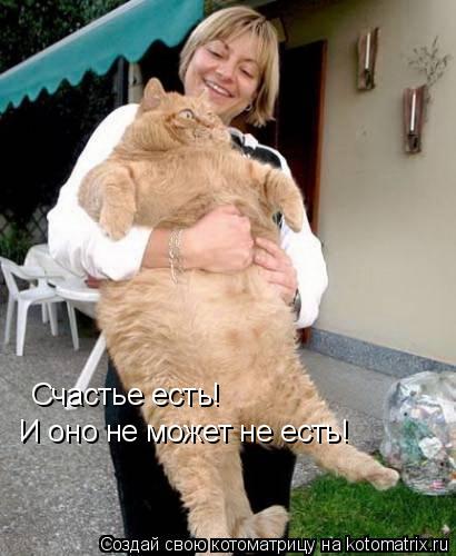 Котоматрица: Счастье есть! И оно не может не есть!