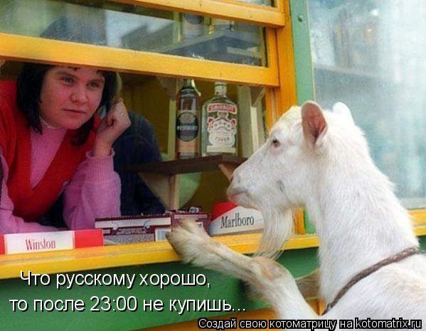 Котоматрица: Что русскому хорошо, то после 23:00 не купишь...