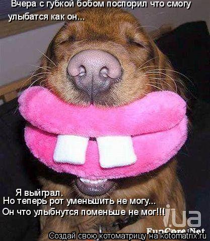 Котоматрица: Вчера с губкой бобом поспорил что смогу улыбатся как он... Я выйграл. Он что улыбнутся поменьше не мог!!! Но теперь рот уменьшить не могу...